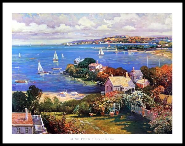 TA MF981 View to the Bay